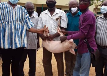 Rearing For food and Jobs to Boost Obuasi’s Local Economy – MCE