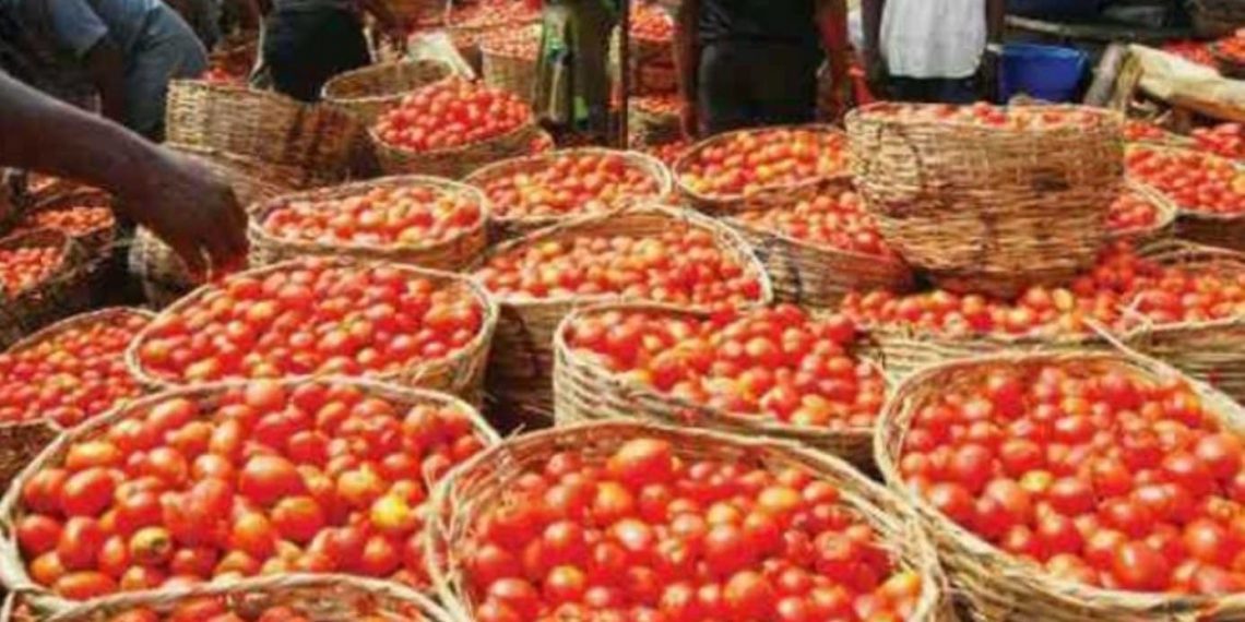 Tomato Traders, Transporters Call off Strike after Police Intervention Tomato Traders, Transporters Call off Strike after Police Intervention