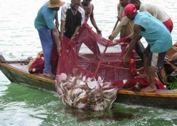Take Advantage of LiPF Tradeshow, Fisheries Commission Urges Fishers and Aquaculture Operators