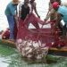 Stakeholders Call for Efficient Use of Fishing Technologies in Ghana Stakeholders Call for Efficient Use of Fishing Technologies in Ghana