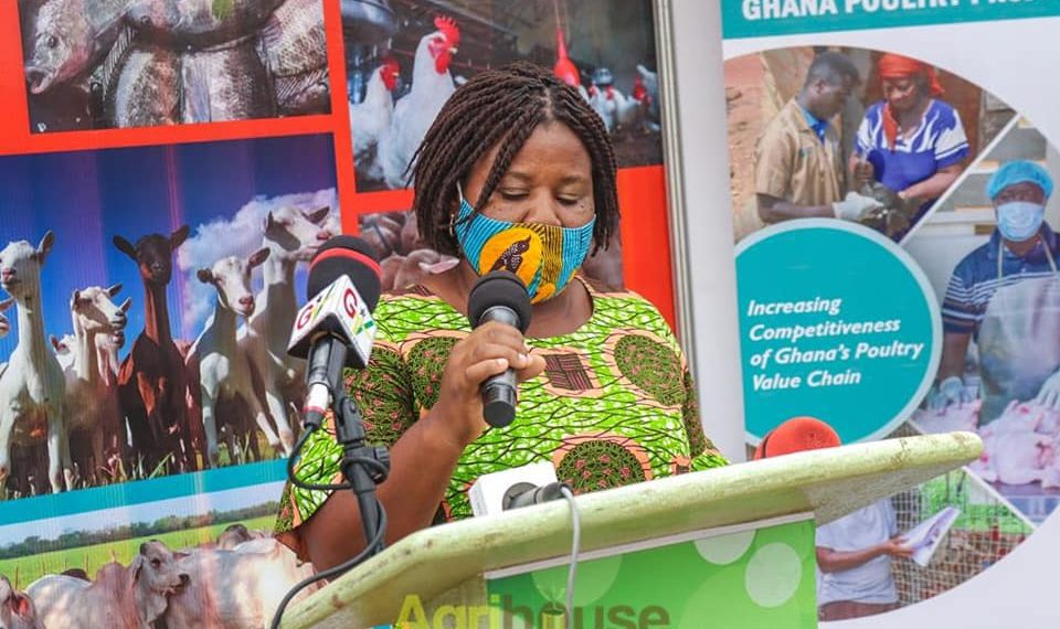 Agrihouse LiPF Tradeshow Is a Strong Complement of Gov’t Rearing for Food and Jobs— ADP Agrihouse LiPF Tradeshow Is a Strong Complement of Gov’t Rearing for Food and Jobs— ADP