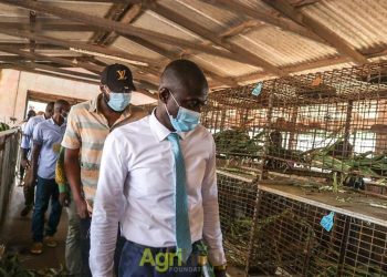 ADB Praises Agriouse LIPF Tradeshow for Providing Animal Farmers, Processors etc, with Knowledge on Securing Loans and Technical Support