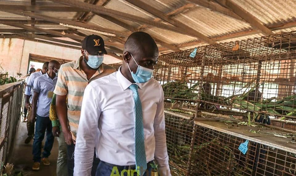 ADB Praises Agriouse LIPF Tradeshow for Providing Animal Farmers, Processors etc, with Knowledge on Securing Loans and Technical Support ADB Praises Agriouse LIPF Tradeshow for Providing Animal Farmers, Processors etc, with Knowledge on Securing Loans and Technical Support