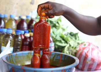 Support Local Palm Oil Processors with Modern mMchines – Krobea Palm Oil Calls on Gov’t