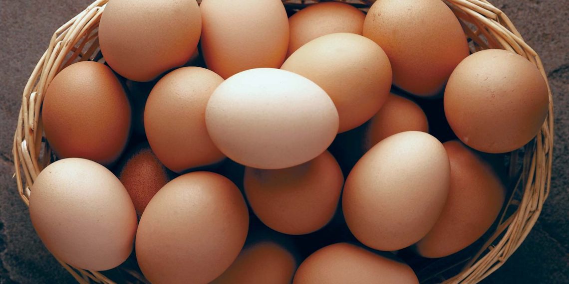 New UN Report Highlights More Health Benefits of Eating Eggs New UN Report Highlights More Health Benefits of Eating Eggs