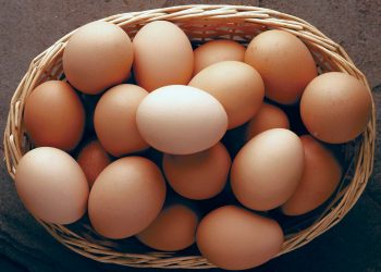 New UN Report Highlights More Health Benefits of Eating Eggs