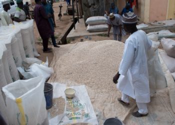 Ghana’s Decision on GMO Crops will be Based on Science, not Fear – Biosafety Authority