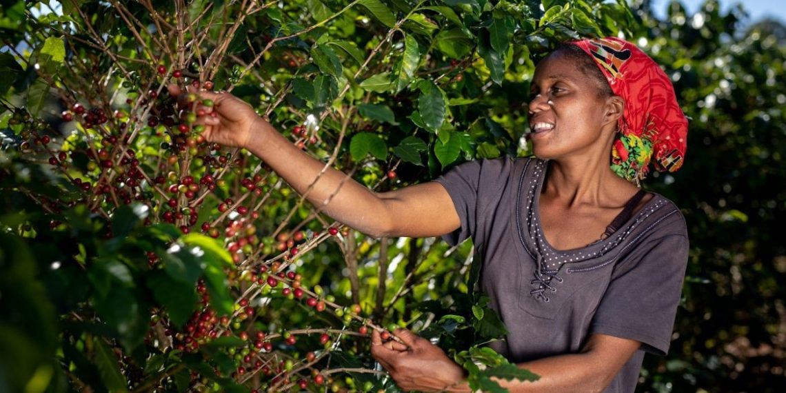 Zimbabwean President Hails Nespresso, local Farmers’ Collaboration