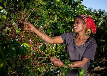 Zimbabwean President Hails Nespresso, local Farmers’ Collaboration