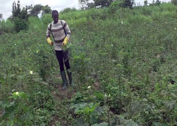 2016 Best Farmer Bemoans Widespread Abuse of Agrochemicals