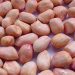 FG Determined to Return Groundnut Value Chain to International Market