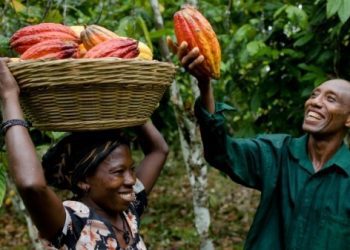 Fairtrade Raises Living Standards for the Poorest Cocoa Farmers, New Report Reveals