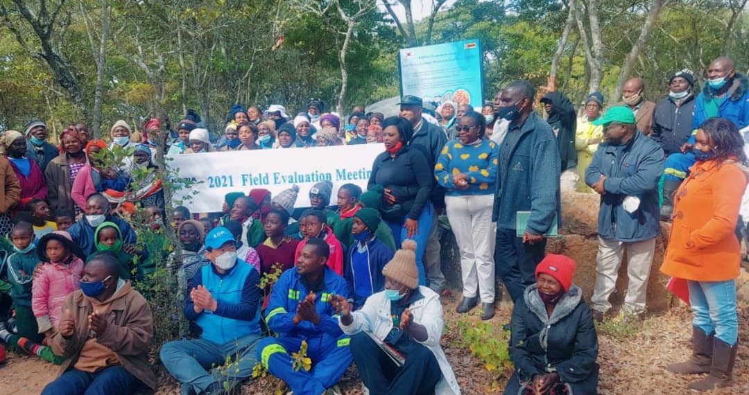 Local Mushroom Field Evaluation Held in Rusape Local Mushroom Field Evaluation Held in Rusape