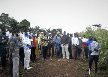 CSIR & SRI Develop New Technologies for Soil Fertility Management