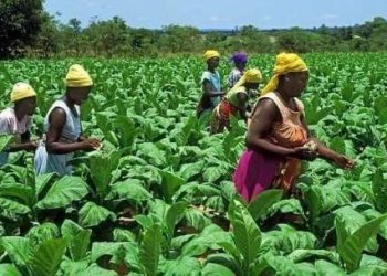 Women Farmers in Nigeria Urged to Embrace Fishery, Livestock Farming