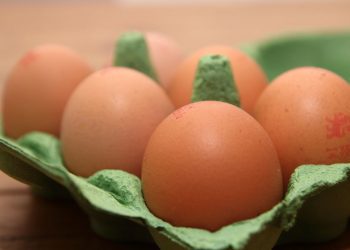 Farm Gate Prices Surge for Free Range Egg Producers, Report Reveals