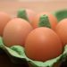 Farm Gate Prices Surge for Free Range Egg Producers, Report Reveals Farm Gate Prices Surge for Free Range Egg Producers, Report Reveals