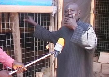 Turkey farmer Calls for More Focus on Agric sector