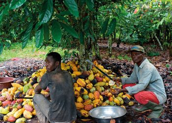 Co-op  Launches Climate Change Commitments for Fair-trade Producers