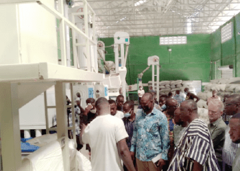 Sustainable Soya Beans Production Project launched in Northern Ghana