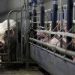 Exclusive Investors Warn EU Against Badging Intensive Farming as Sustainable Exclusive Investors Warn EU Against Badging Intensive Farming as Sustainable