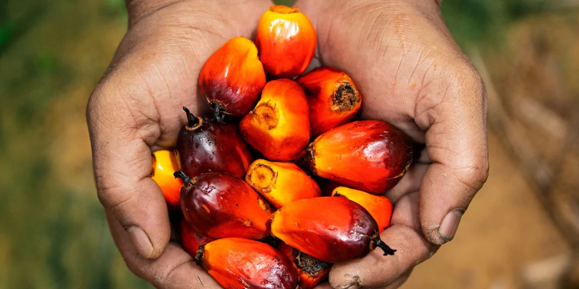 Benchmark Policy Reversal will Grow Local Oil Palm Industry— Stakeholders Benchmark Policy Reversal will Grow Local Oil Palm Industry— Stakeholders