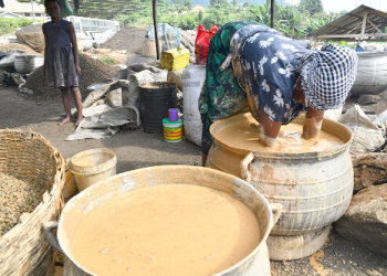 Women in Palm Kernel Oil Production
