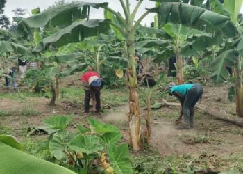 2021 National Best Farmer Encourages Young People to venture into Agriculture