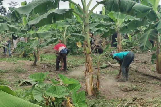 2021 National Best Farmer Encourages Young People to venture into Agriculture