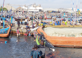 A Need to Protect Fisheries Resources through Community Co-management Systems