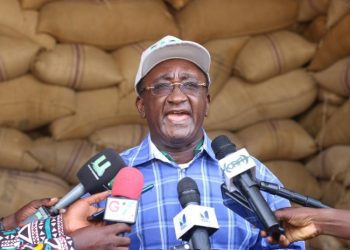 Part of E-Levy will be used to Support Farmers, Agric Minister