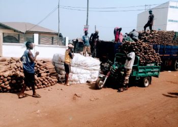 Yam Business in Ashaiman Faces Imminent Collapse