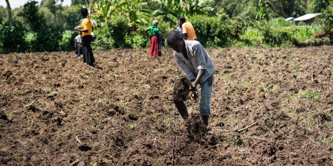 Youth Want to Engage in Farming, Create Enabling Environment for Them – Government Told Youth Want to Engage in Farming, Create Enabling Environment for Them – Government Told
