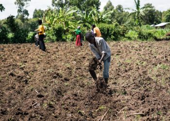 Youth Want to Engage in Farming, Create Enabling Environment for Them – Government Told