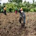Youth Want to Engage in Farming, Create Enabling Environment for Them – Government Told Youth Want to Engage in Farming, Create Enabling Environment for Them – Government Told