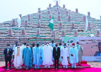 President Buhari’s ABP Initiative Drives Nigeria’s Food Industry to Self-Sufficiency