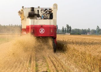 Ozone harms East Asian crops, costing  bln a year, scientists say