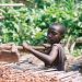 Multi-Stakeholder Partnership Required to Eliminate Child Labour – Cocoa Expert Multi-Stakeholder Partnership Required to Eliminate Child Labour – Cocoa Expert
