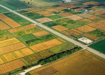 Powerful sensors on planes detect crop nitrogen with high accuracy