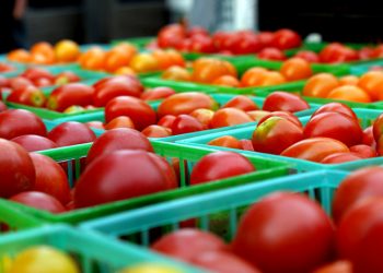 Prices of Tomatoes Likely to Increase Over Burkina Faso Border Closure – Dumelo Predicts