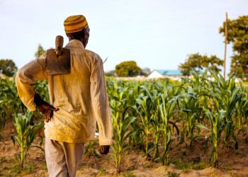 Relationship between Agribusiness and Manufacturing Sub-Sector