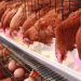 Bird Flu infests 99,744 Poultry in Central Region Bird Flu infests 99,744 Poultry in Central Region