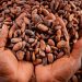 Graded and Sealed Cocoa arrivals have not dropped by 42% – COCOBOD Graded and Sealed Cocoa arrivals have not dropped by 42% – COCOBOD