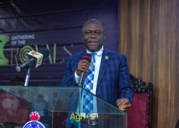 Gov’t Cannot Solely Transform Agric Sector— Deputy Agric Minister