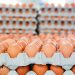 Price of eggs increase by 10% effective March 14 – Poultry Farmers Association Price of eggs increase by 10% effective March 14 – Poultry Farmers Association