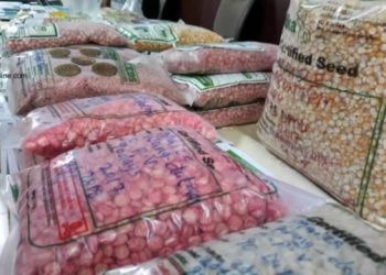 Ghana’s Food security: Professor Danquah call for increased in local seed production