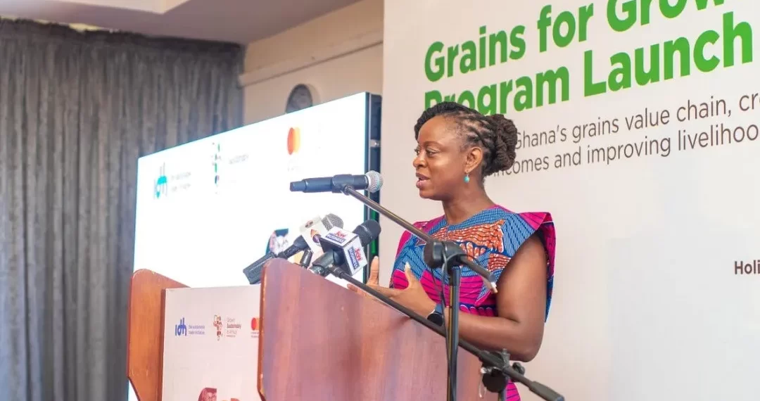 Mastercard Foundation, IDH partner to strengthen grain market Mastercard Foundation, IDH partner to strengthen grain market