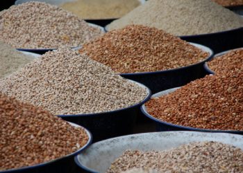Government Extends Temporary Ban on Grain Exportation.