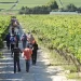Western Cape launches Africa Agriculture Strategy Western Cape launches Africa Agriculture Strategy
