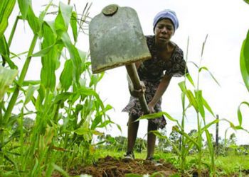 Marginalised Farmers At Ejura get Support To Boost Their Activities